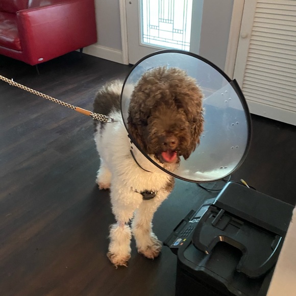 Me - Picture 15 of 17